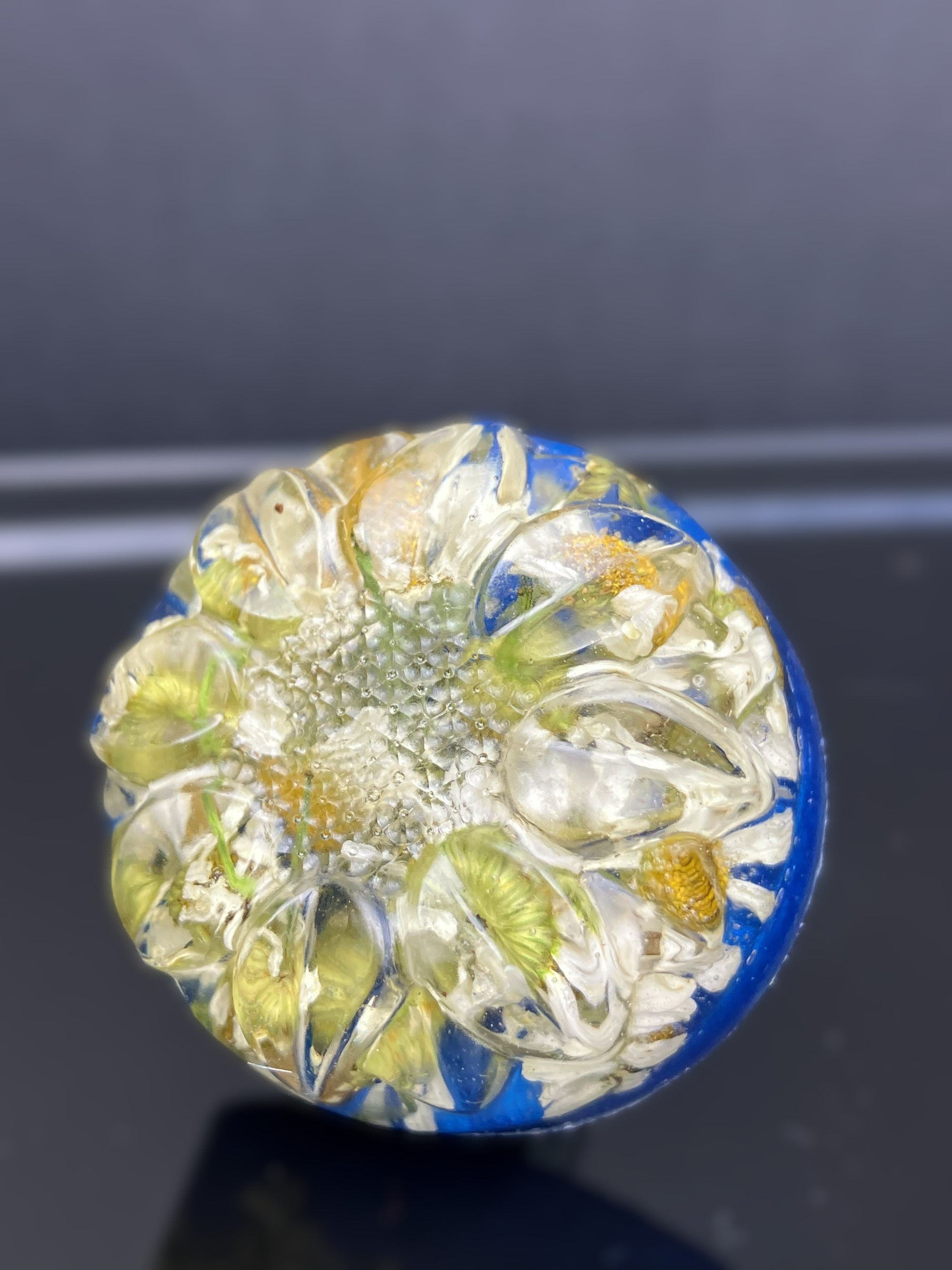 Drawer knob with real feverfew daisy-like flowers preserved in resin over a cobalt blue background.